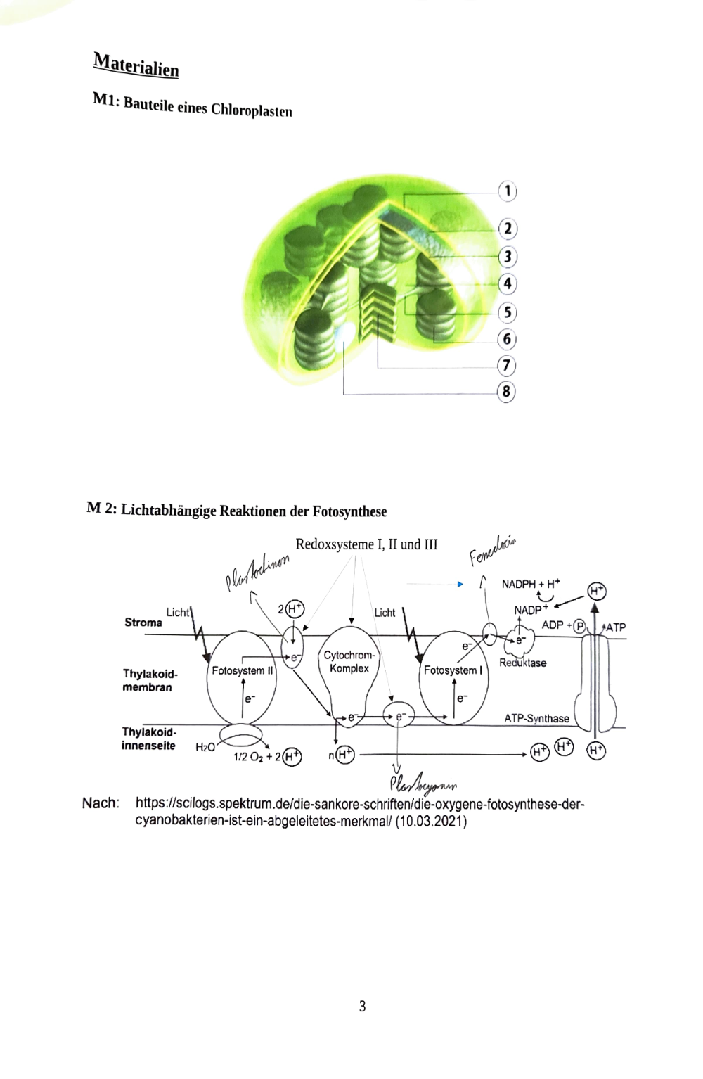 Documento da prova: Fotosynthese + Ezymatik - P Q2 123B