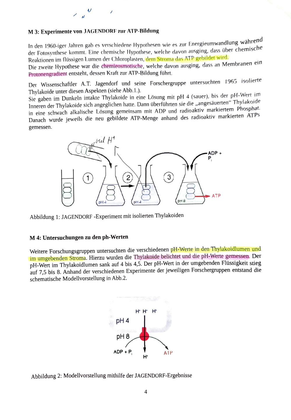 Documento da prova: Fotosynthese + Ezymatik - P Q2 123B