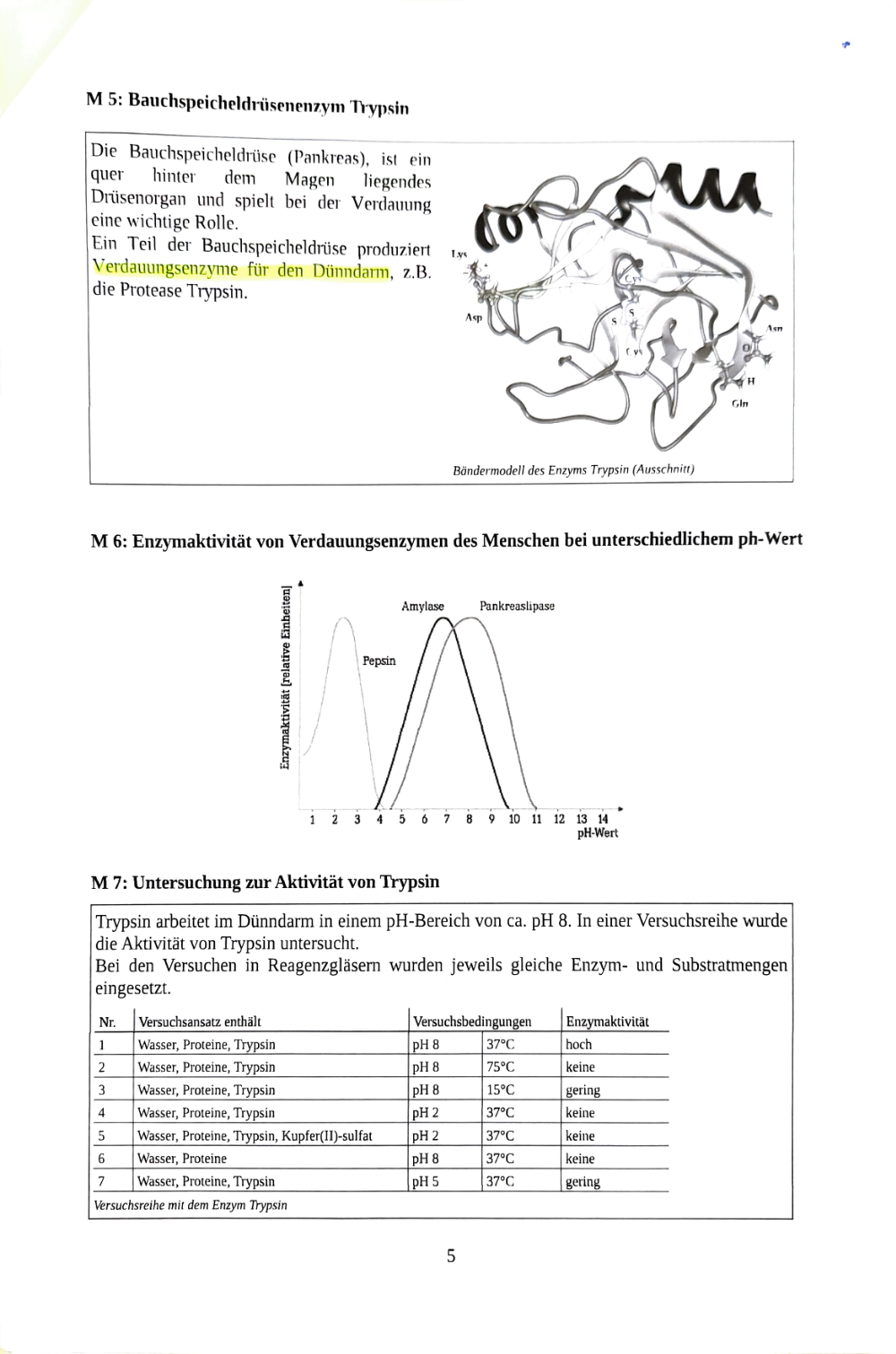 Documento da prova: Fotosynthese + Ezymatik - P Q2 123B