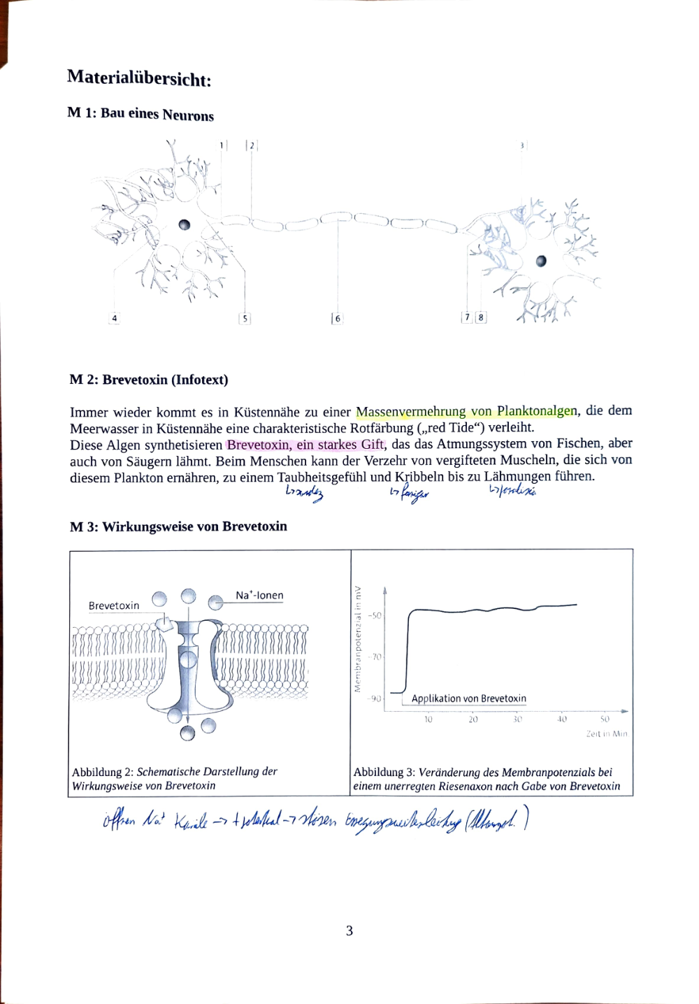 Documento da prova: Neurophysiologie & Verdauungssystem - 123B 2025