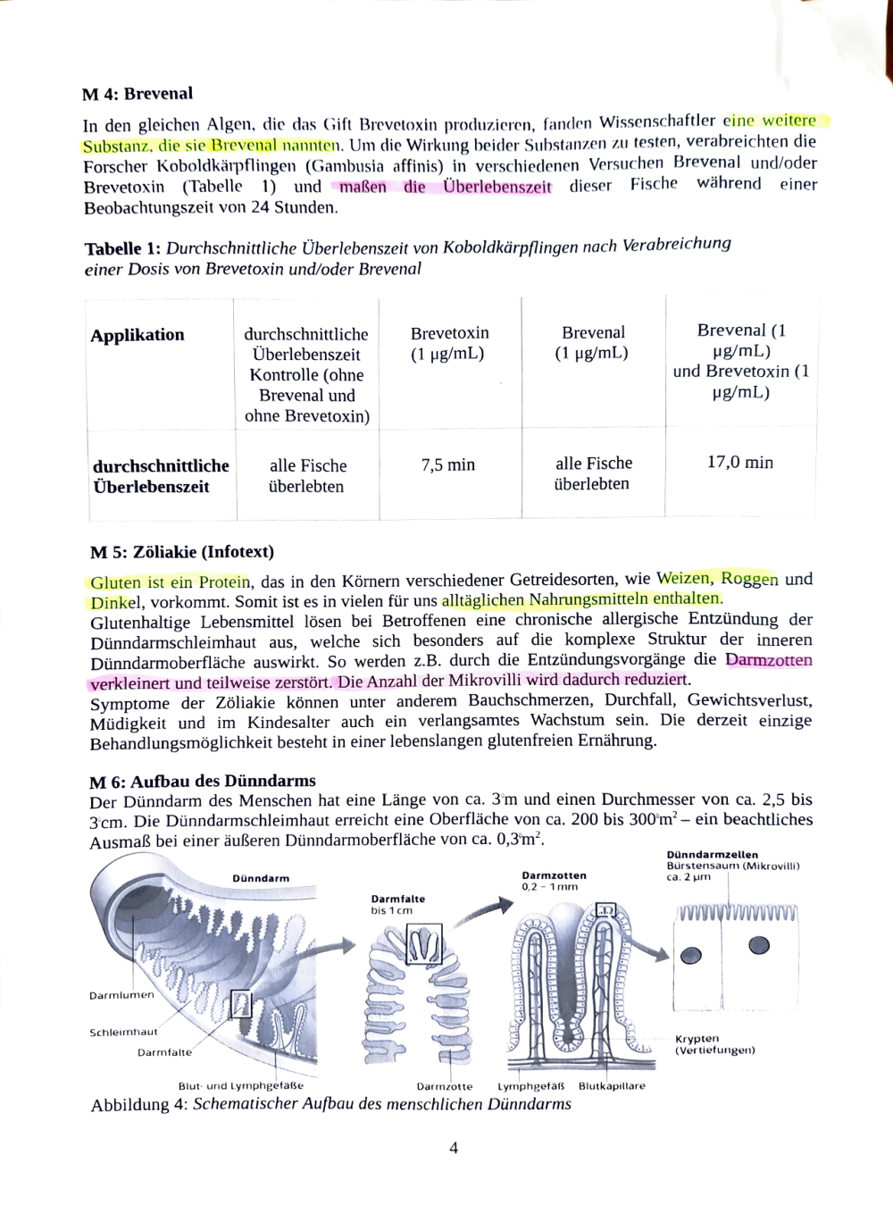Documento da prova: Neurophysiologie & Verdauungssystem - 123B 2025