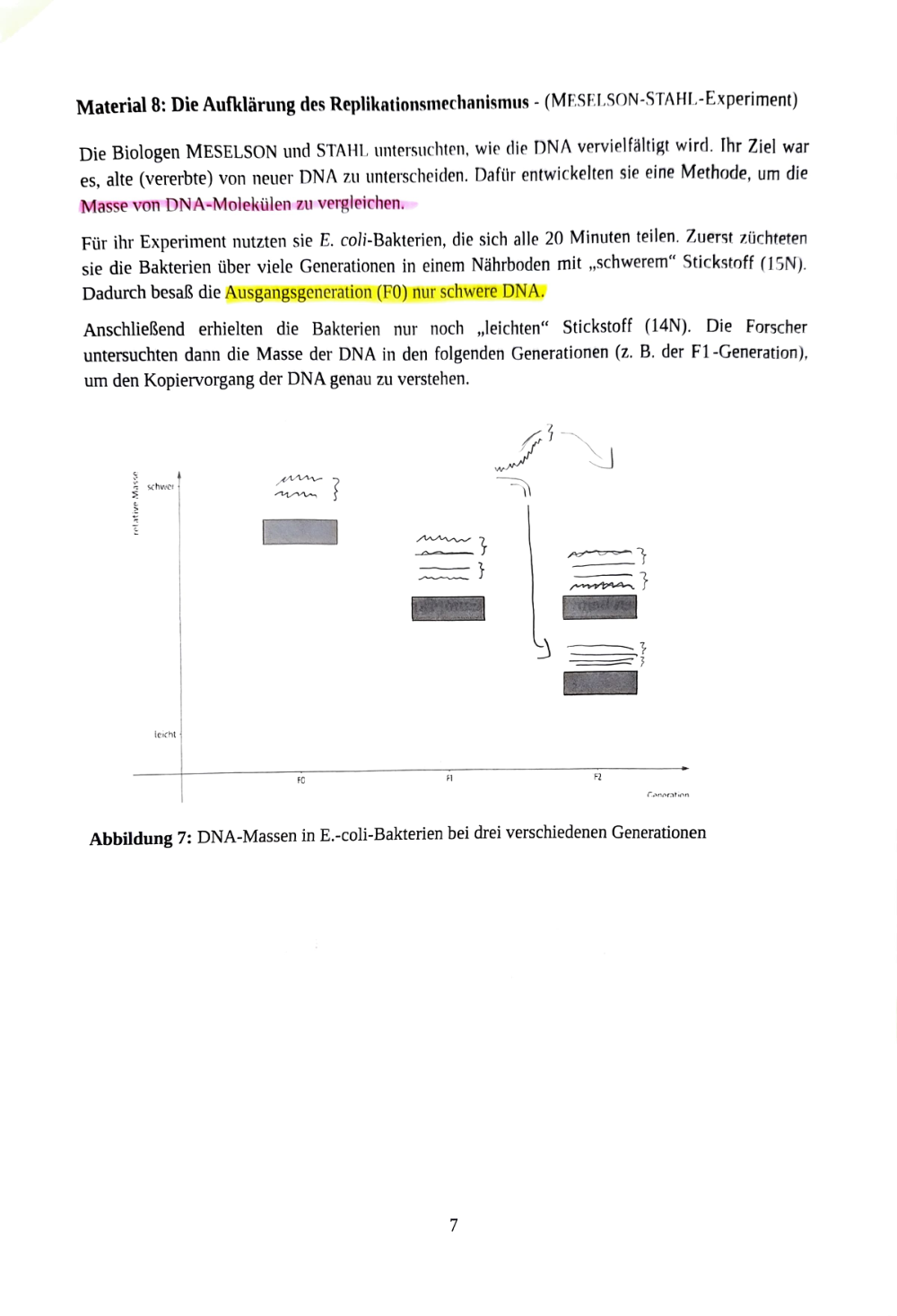 Documento da prova: Ökologie + Genetik - Q3 131B