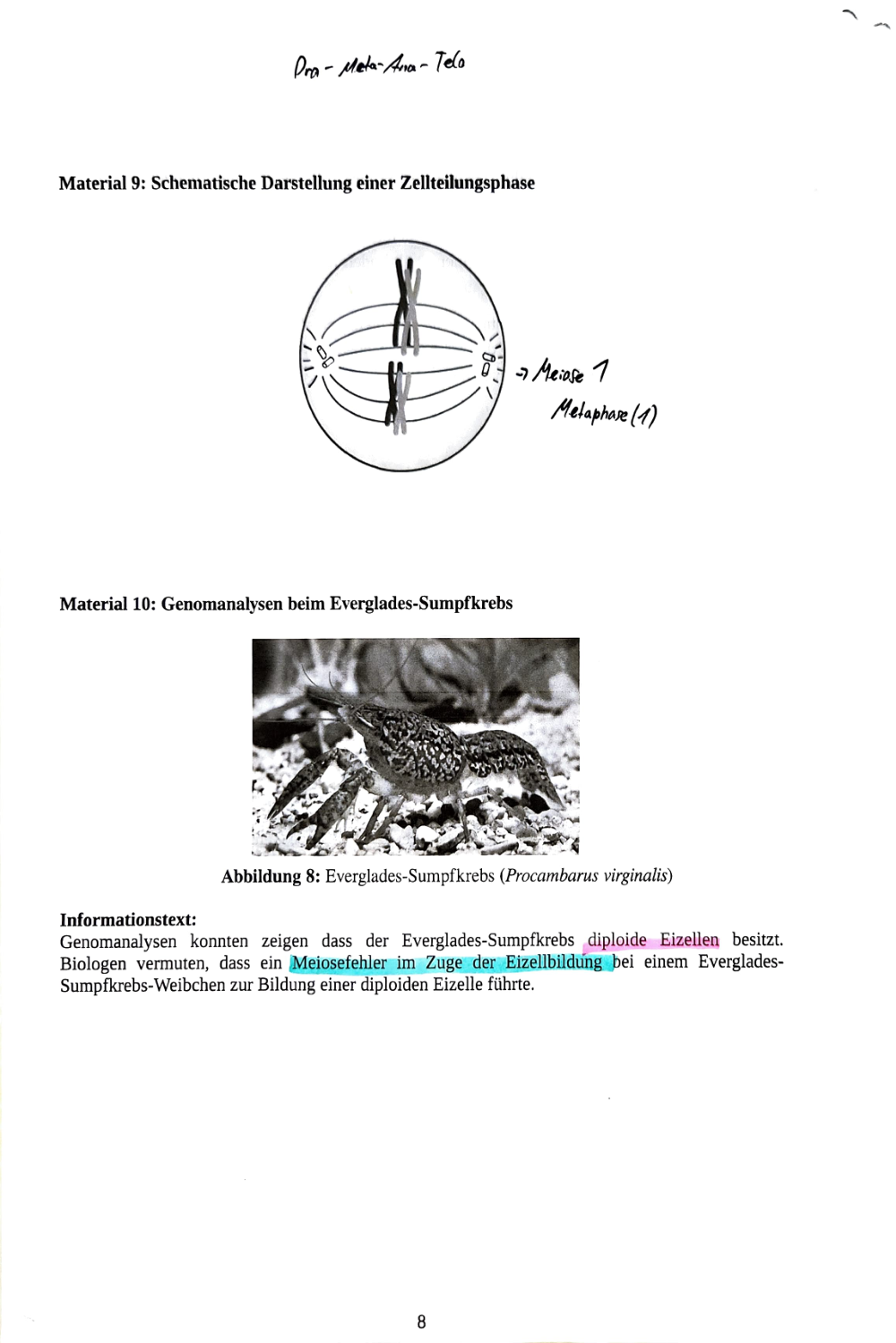Documento da prova: Ökologie + Genetik - Q3 131B